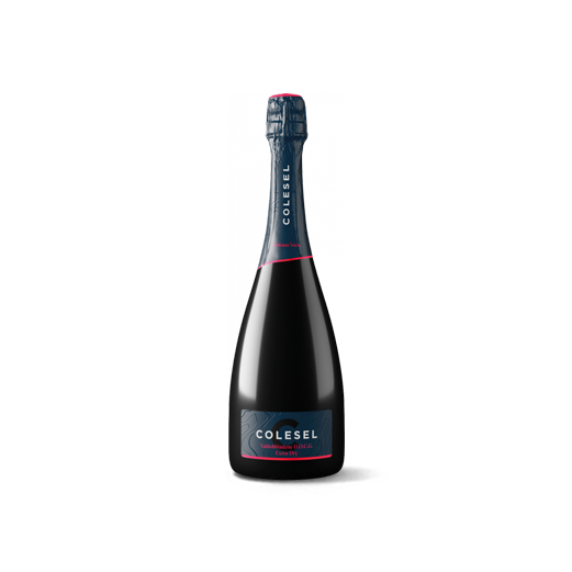 Prosecco Fontana Vecia Extra Dry DOCG