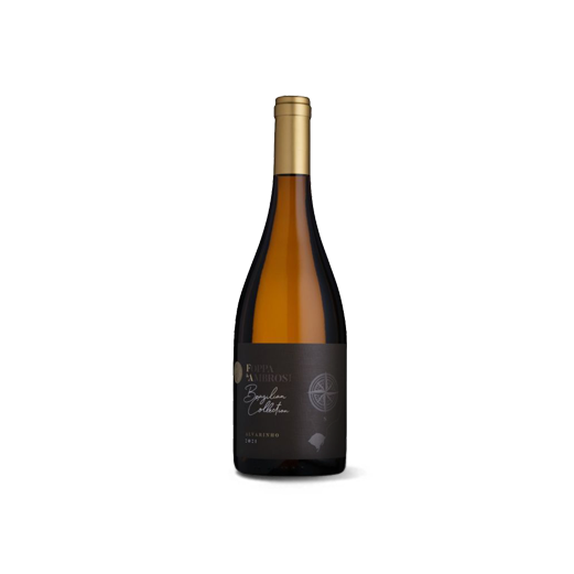 Brazilian collection Alvarinho